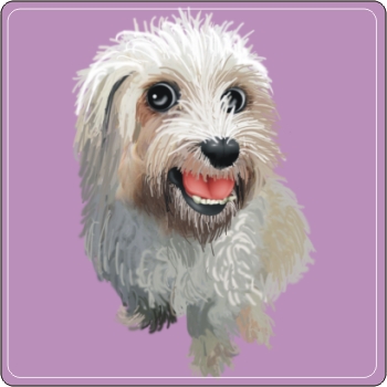 寵物Q版畫 馬爾濟斯Q版畫 PNP-005